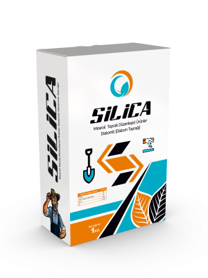 SİLİSYUM